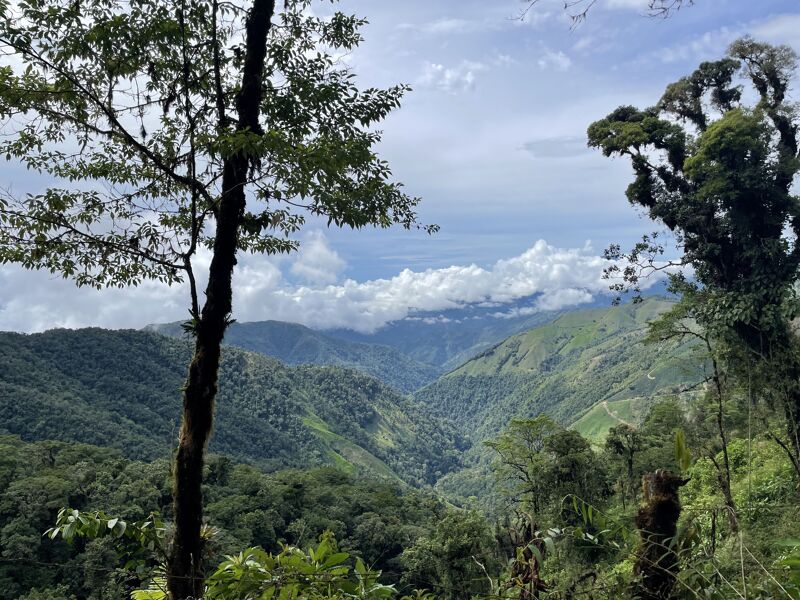 The image showcases a lush, green mountain landscape under a partly cloudy sky. Dense forests cover the rolling hills and valleys, creating a sense of depth and vastness. The sunlight filters through the clouds, casting shadows and highlighting the textures of the trees and terrain. The overall impression is one of natural beauty and tranquility.